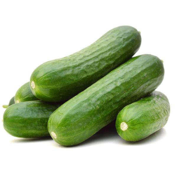 CUCUMBER LEBANESE
