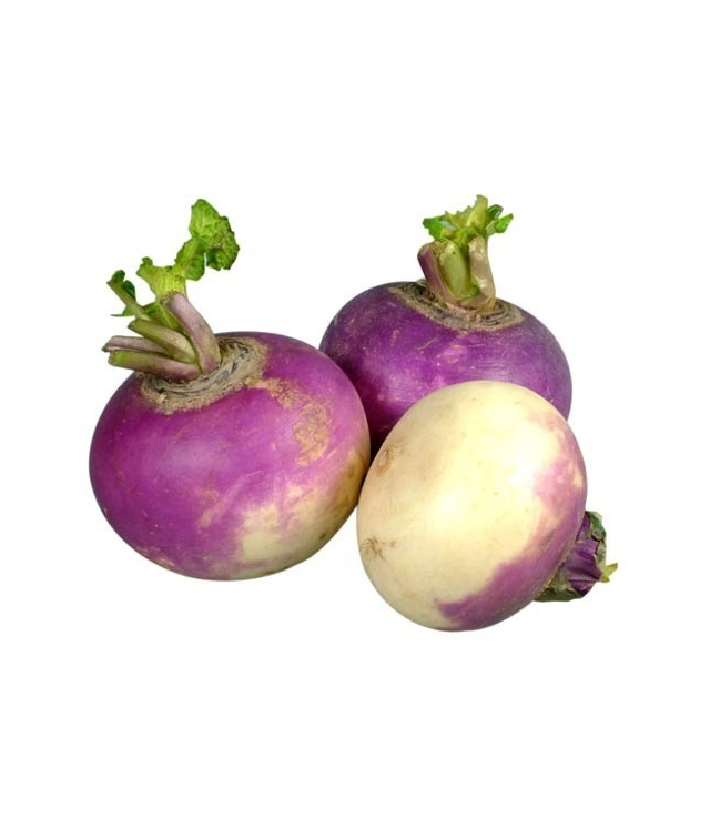 TURNIPS KG