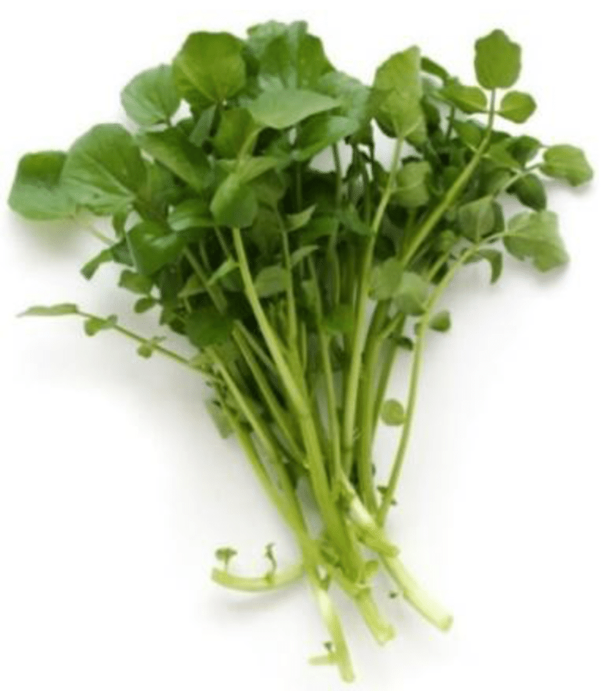 WATERCRESS