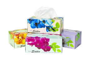 Duro Facial Tissues 2ply 100sh pack size: 48